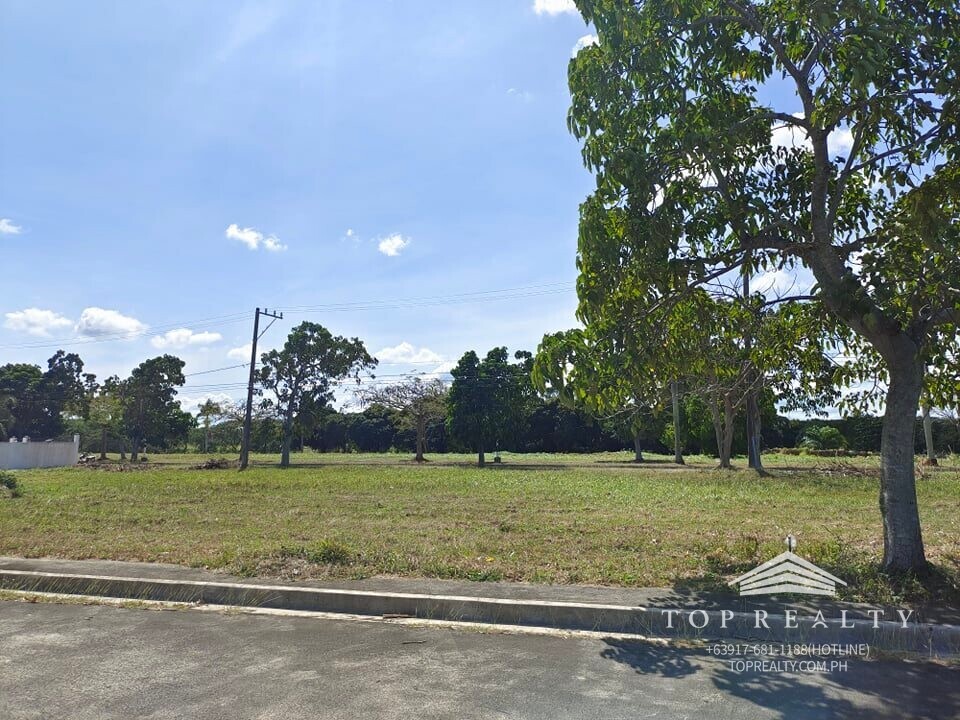 Top Realty Corporation DS88000667 Eagle Ridge Executive Village