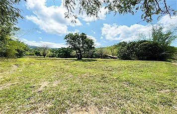 DS88-000194 – RUSH SALE! 162,503 sqm Big Agricultural Lot for Sale in Tanay Rizal