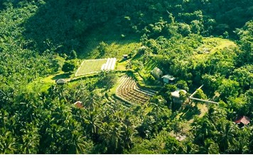 DS88-001225- Embrace Nature’s Bounty of this 24,700 sqm Agricultural/Farm Lot for Sale in Bay, Laguna with lush fruit-bearing trees and a refreshing cold temperature.