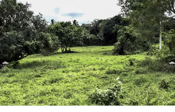 DS88-003939 – NorthBound STAR Tollway Batangas | Prime Vacant Lots for Sale Along Northbound & Southbound Lanes – Ideal for Commercial or Industrial Development