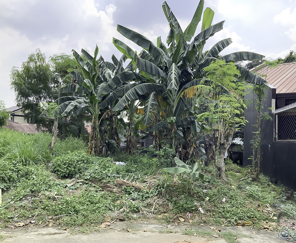 DS88-005036 – Northview at Filinvest | 192 sqm Prime Vacant Residential Lot for Sale in Quezon City near Batasan Road and Katipunan Extension