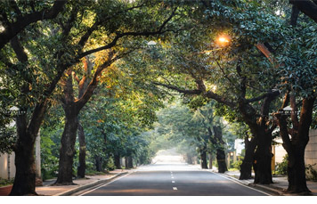 DS88-006071 – New Manila | Residential Lot for Sale in Quezon City | Build Your Dream Home in Prime New Manila.