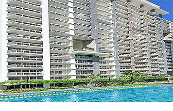 Top Realty