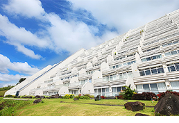 Top Realty