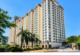 Top Realty