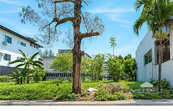 Top Realty
